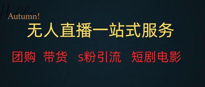 无人直播一站式服务（教程以及变现方式）-搞机圈