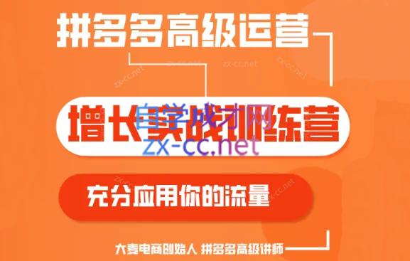 大麦老师·拼多多单品爆款打造课程(更新6月)-搞机圈