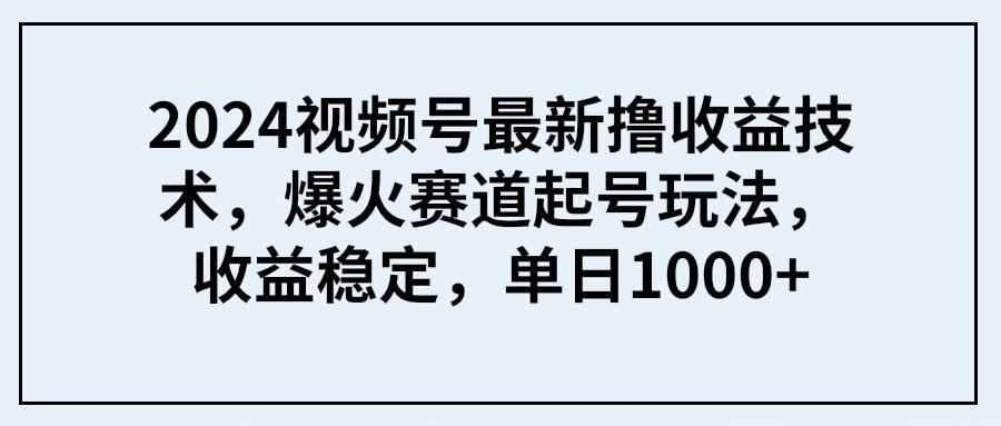(9651期) 2024视频号最新撸收益技术，爆火赛道起号玩法，收益稳定，单日1000+-搞机圈