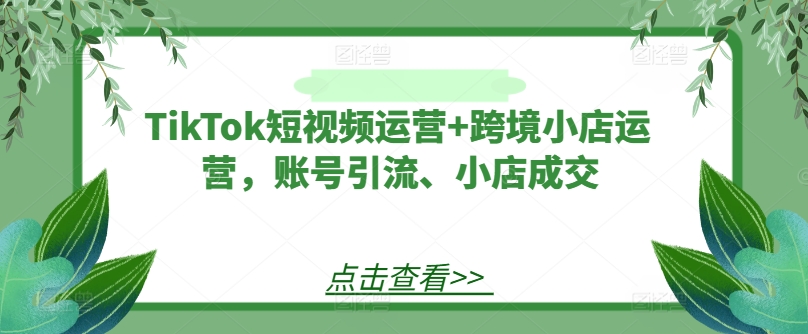 TikTok短视频运营+跨境小店运营，账号引流、小店成交-搞机圈