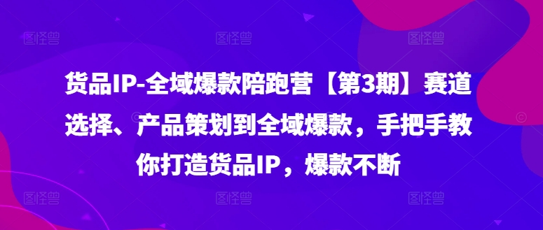 货品IP全域爆款陪跑营【第3期】赛道选择、产品策划到全域爆款，手把手教你打造货品IP，爆款不断-搞机圈
