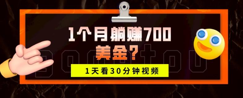 1天看30分钟视频,1个月躺赚700美金?-搞机圈