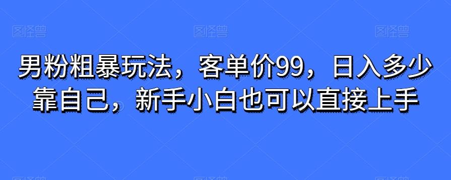 男粉粗暴玩法，客单价99，日入多少靠自己，新手小白也可以直接上手-搞机圈