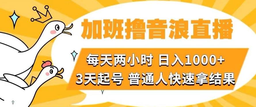 加班撸音浪直播，每天两小时，日入1000+，直播话术才3句，3天起号，普通人快速拿结果【揭秘】-搞机圈