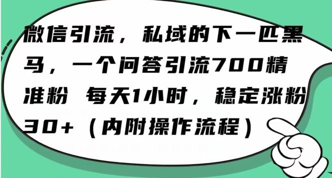 怎么搞精准创业粉？微信新赛道，每天一小时，利用Ai一个问答日引100精准粉-搞机圈