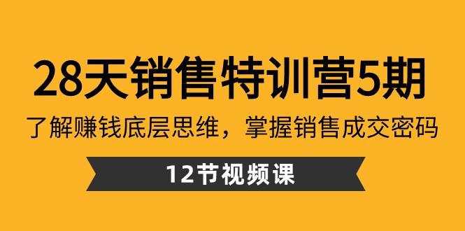 28天销售特训营5期：了解赚钱底层思维，掌握销售成交密码（12节课）-搞机圈