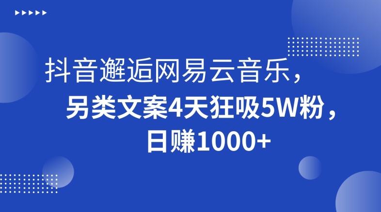 抖音邂逅网易云音乐，另类文案4天狂吸5W粉，日赚1000+【揭秘】-搞机圈