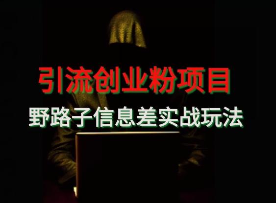 【引流创业粉】野路子信息差玩法实战教学-搞机圈