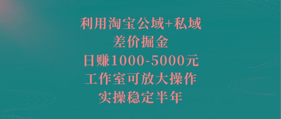 利用淘宝公域+私域差价掘金，日赚1000-5000元，工作室可放大操作，实操…-搞机圈