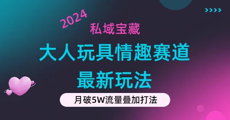 私域宝藏：大人玩具情趣赛道合规新玩法，零投入，私域超高流量成单率高-搞机圈