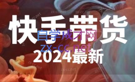 快手带货(2024最新)-搞机圈