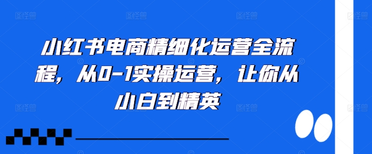 小红书电商精细化运营全流程，从0-1实操运营，让你从小白到精英-搞机圈