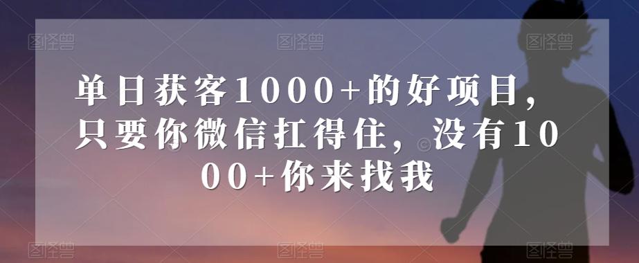 单日获客1000+的好项目，只要你微信扛得住，没有1000+你来找我【揭秘】-搞机圈