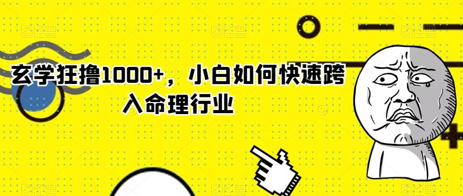 玄学狂撸1000+，小白如何快速跨入命理行业-搞机圈
