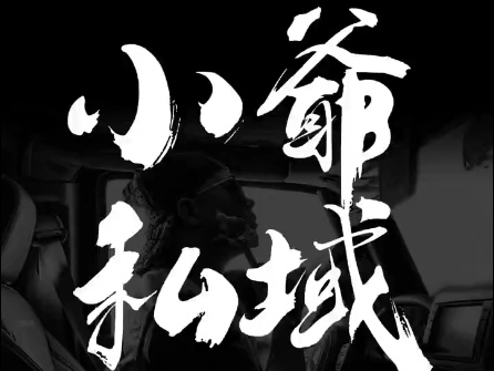 小爷·私域项目操盘手-搞机圈