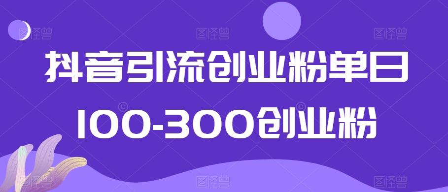 抖音引流创业粉单日100-300创业粉【揭秘】-搞机圈