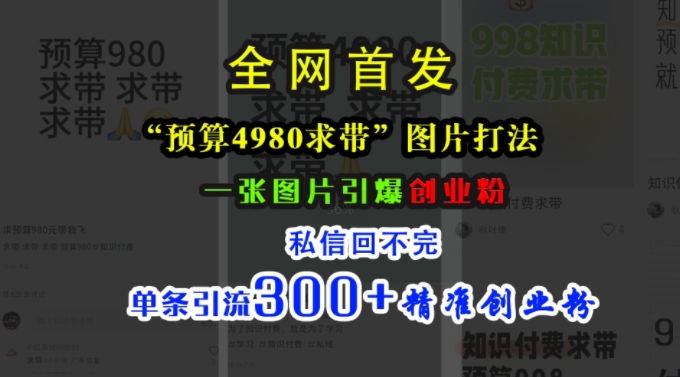 小红书“预算4980带我飞”图片打法，一张图片引爆创业粉，私信回不完，单条引流300+精准创业粉-搞机圈