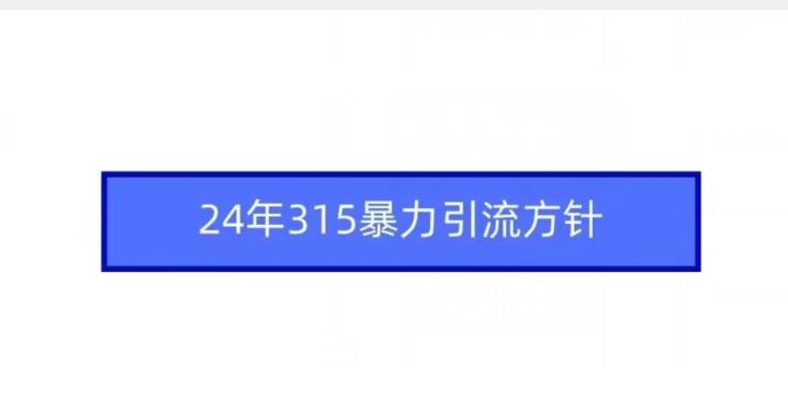 24年315暴力引流方针-搞机圈