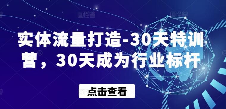 实体流量打造-30天特训营，30天成为行业标杆-搞机圈