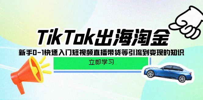 (10035期)TikTok-出海淘金，新手0-1快速入门短视频直播带货等引流到变现的知识-搞机圈