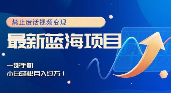 最新蓝海项目，靠禁止废话视频变现，一部手机，小白轻松月入过万！-搞机圈