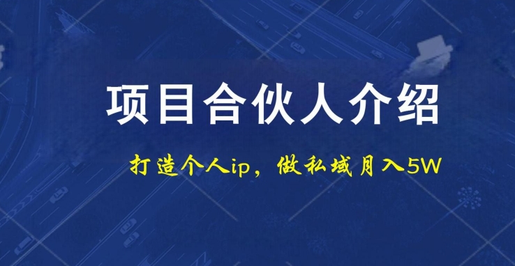 项目合伙人项目，打造个人IP，做私域月入5W，小白勿扰-搞机圈