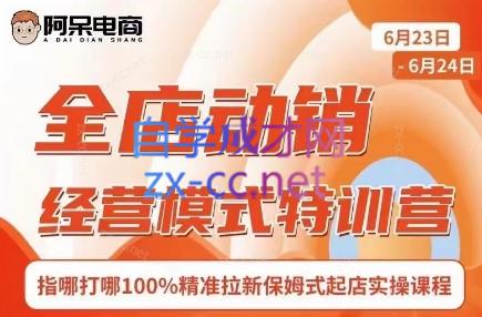 阿呆电商·全店动销经营模式特训营(线下录音+思维导图)-搞机圈