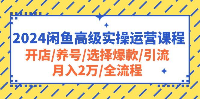 2024闲鱼高级实操运营课程：开店/养号/选择爆款/引流/月入2万/全流程-搞机圈