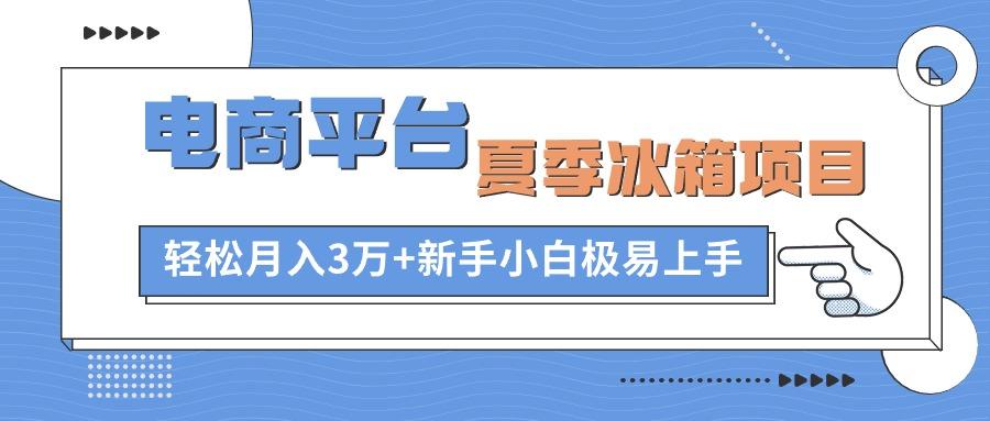 电商平台夏季冰箱项目，轻松月入3万+，新手小白极易上手-搞机圈