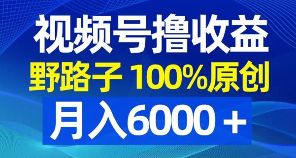 视频号野路子撸收益，100%原创，条条爆款，月入6000＋【揭秘】-搞机圈
