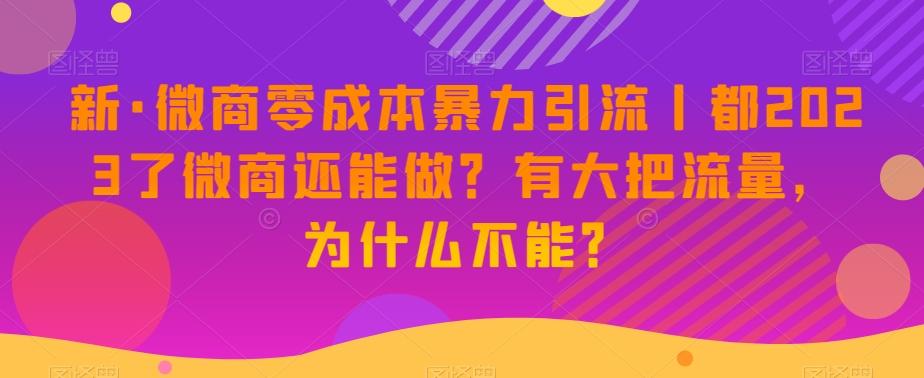 新·微商零成本暴力引流丨都2023了微商还能做？有大把流量，为什么不能？-搞机圈