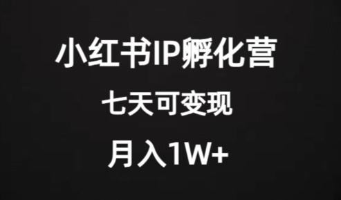 价值2000+的小红书IP孵化营项目，超级大蓝海，七天即可开始变现，稳定月入1W+-搞机圈