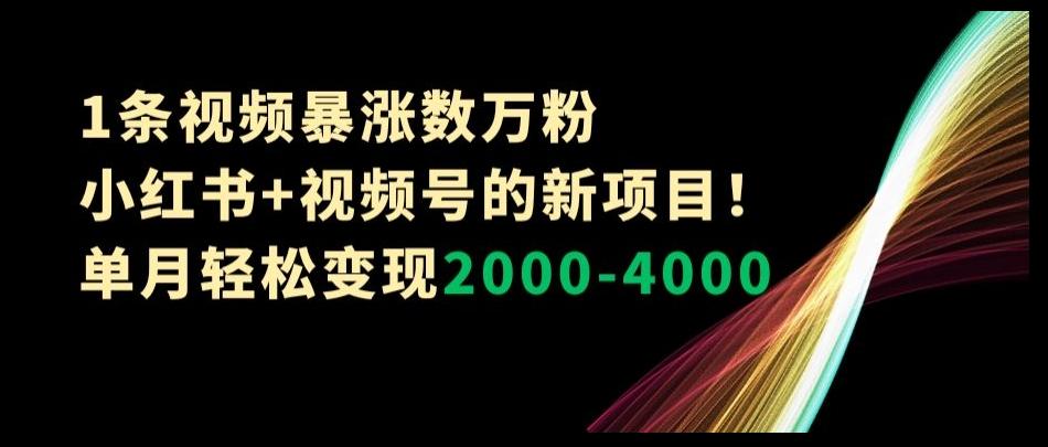 1条视频暴涨数万粉–小红书+视频号的新项目！单月轻松变现2000-4000【揭秘】-搞机圈