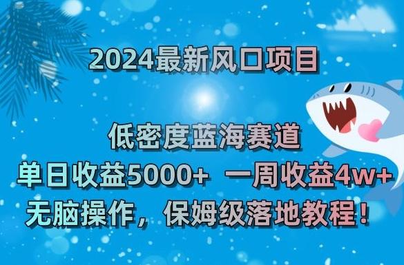 2024最新风口项目，低密度蓝海赛道，单日收益5000+，一周收益4w+！【揭秘】-搞机圈