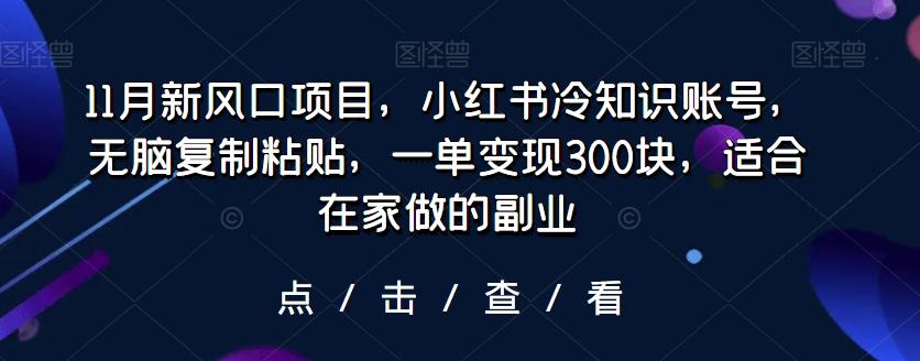 11月新风口项目，小红书冷知识账号，无脑复制粘贴，一单变现300块，适合在家做的副业-搞机圈