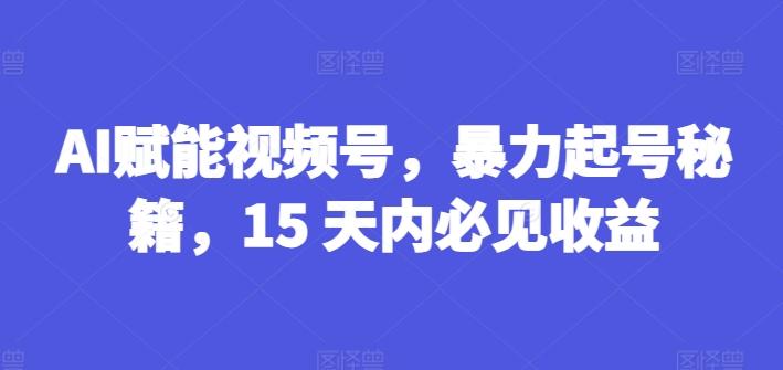 AI赋能视频号，暴力起号秘籍，15 天内必见收益【揭秘】-搞机圈