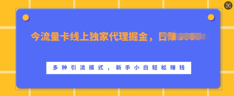 流量卡线上独家代理掘金，日入1k+ ，多种引流模式，新手小白轻松上手【揭秘】-搞机圈