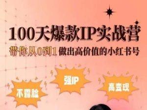 小红书100天爆款IP实战营，带你从0到1做出高价值的小红书号-搞机圈