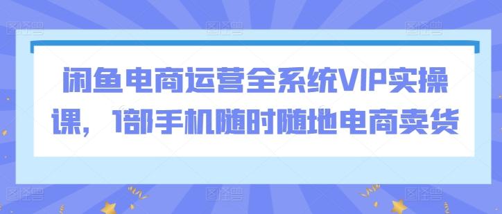 闲鱼电商运营全系统VIP实操课，1部手机随时随地电商卖货-搞机圈