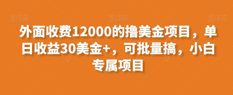 外面收费12000的撸美金项目，单日收益30美金+，可批量搞，小白专属项目-搞机圈