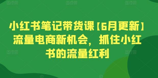 小红书笔记带货课【6月更新】流量电商新机会，抓住小红书的流量红利-搞机圈