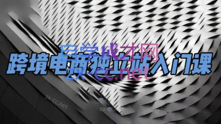 团长·跨境电商独立站入门课(2小时精华)-搞机圈