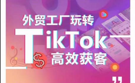 外贸工厂玩转TikTok高效获客，多种引流方式与账号定位技巧，拆解爆款短视频打造成功案例-搞机圈