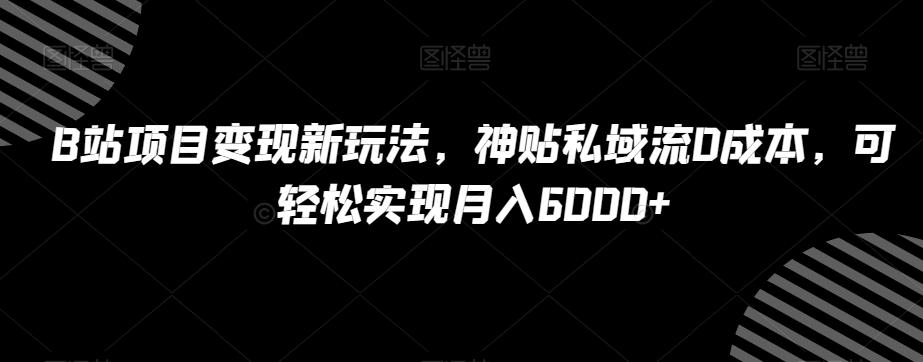B站项目变现新玩法，神贴私域流0成本，可轻松实现月入6000+【揭秘】-搞机圈