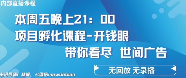 4.26日内部回放课程《项目孵化-开钱眼》赚钱的底层逻辑【揭秘】-搞机圈