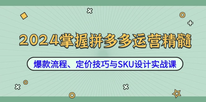 2024掌握拼多多运营精髓：爆款流程、定价技巧与SKU设计实战课-搞机圈