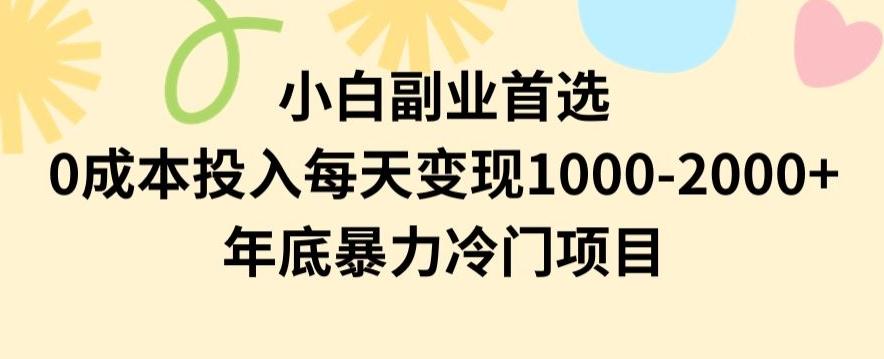 小白副业首选，0成本投入，每天变现1000-2000年底暴力冷门项目【揭秘】-搞机圈
