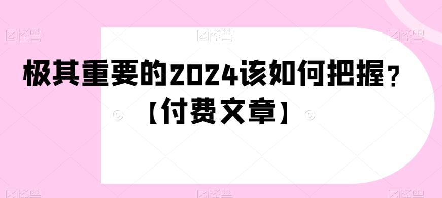 极其重要的2024该如何把握？【付费文章】-搞机圈
