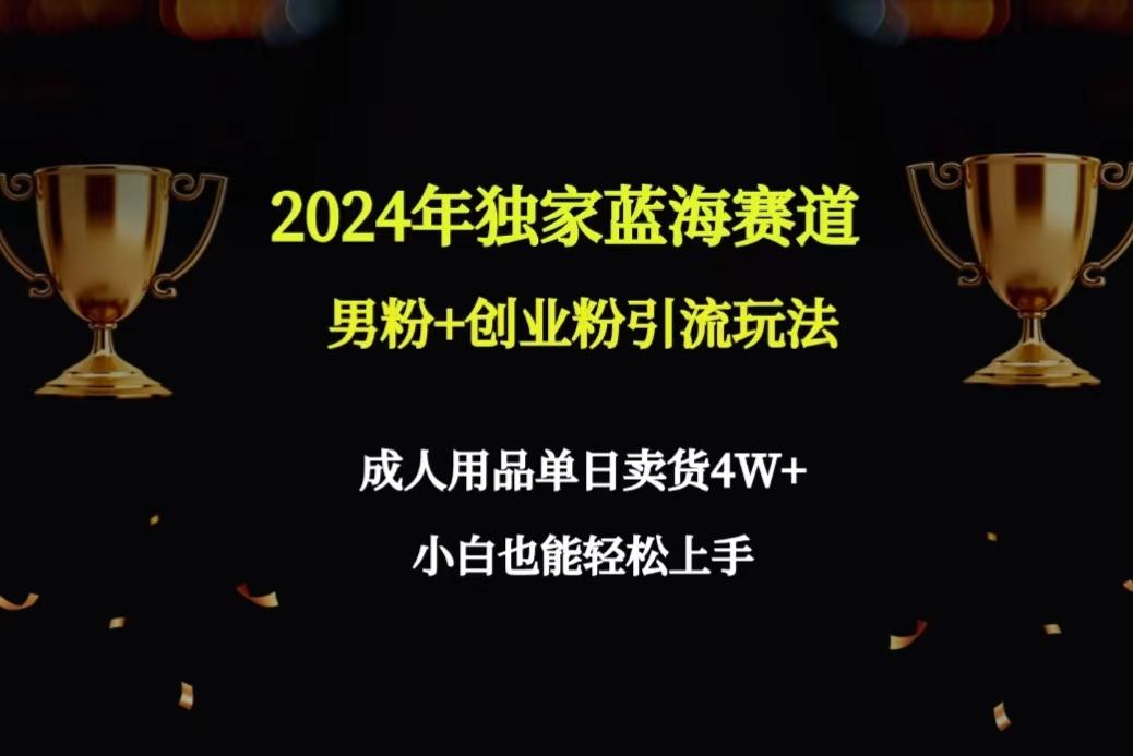 2024年独家蓝海赛道男粉+创业粉引流玩法，成人用品单日卖货4W+保姆教程-搞机圈