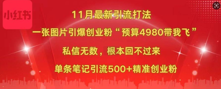 小红书11月最新图片打粉，一张图片引爆创业粉，“预算4980带我飞”，单条引流500+精准创业粉-搞机圈